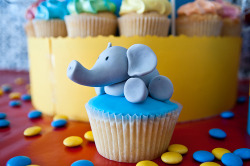 heyrainbows:  onlycupcakes: Via Enelle too much cuteness &lt;33 :D Elephant cupcake!  (via onlycupcakes)