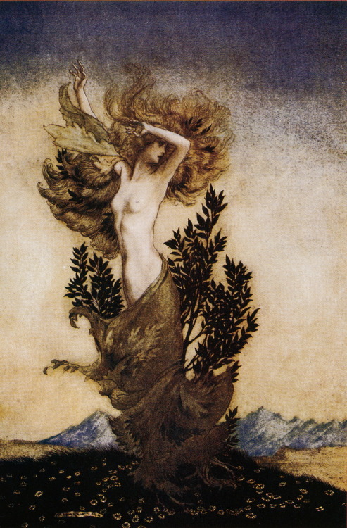 luz-sonriente:  sylphwings:  eliseeatydendivu:  gloomytreehouse:  arthur-rackham:  artofnarrative:  liquidnight:  Arthur Rackham - Illustration of Daphne from Comus      