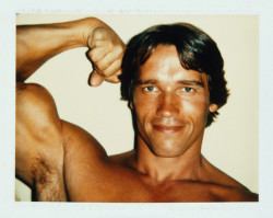 Arnold Schwarzenegger polaroid by Andy Warhol,