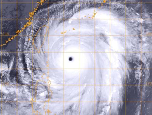 st-cri: 台風の画像:ハムスター速報　２ろぐ