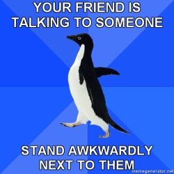 hidesawell:  iamarevolution:  livetoinfinity:  thatjeffreykid:  goodnightvenom:  jamie-ftw:ohhmakyla:jumpordont:achieving:zoebarakat:hfiusajoisfdl:(via fuckyeahsociallyawkwardpenguin) OMG THIS.  FUCKING DAILY  i relate to socially akward penguin more