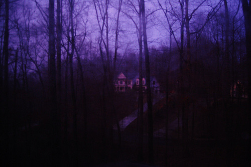 laurencephilomene: by Michele  I really can’t get over how much i love this.