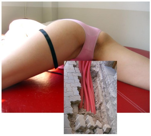 K8 and Excavation by: A.L. Steiner, 2007 adult photos