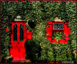 dreamsmaylinger:
“ beautiful-portals:
“ xenabitesback:
“ “ A cottage in Carlow, Ireland.
” ”