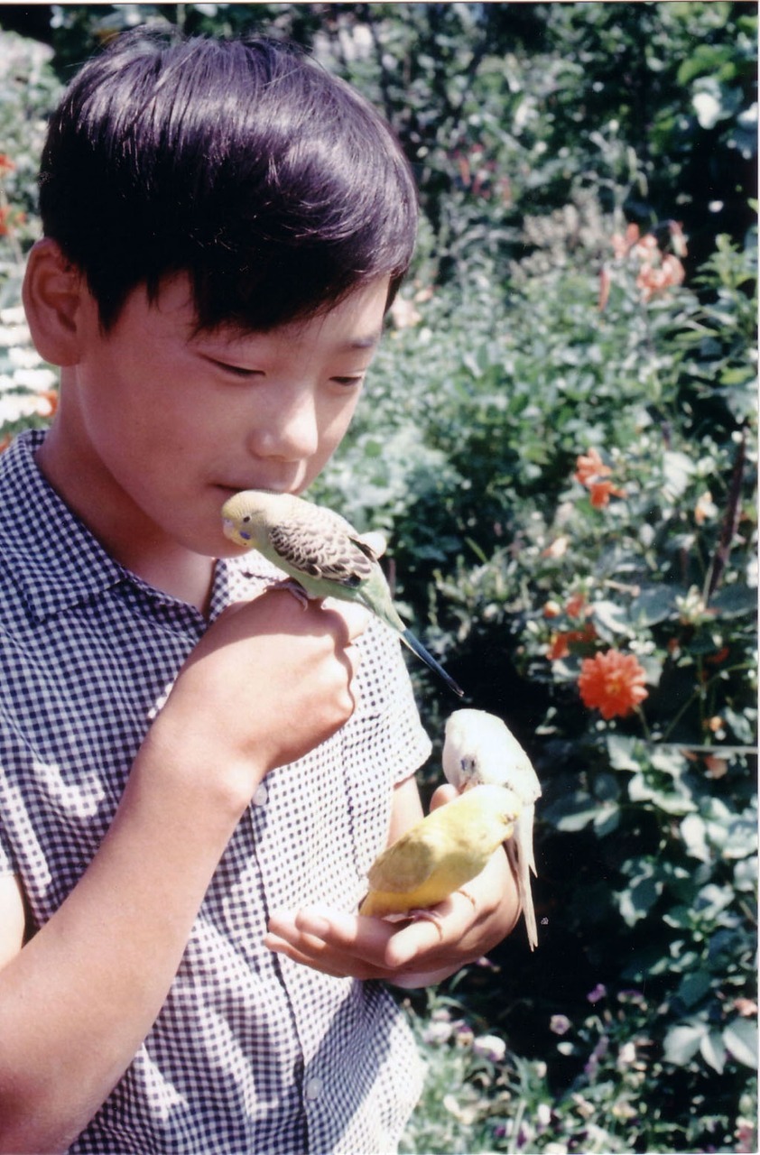 lianewu:  emily-huynh:  archvd:  01. Hiroaki Zakoji as a child with birds, 1968 -