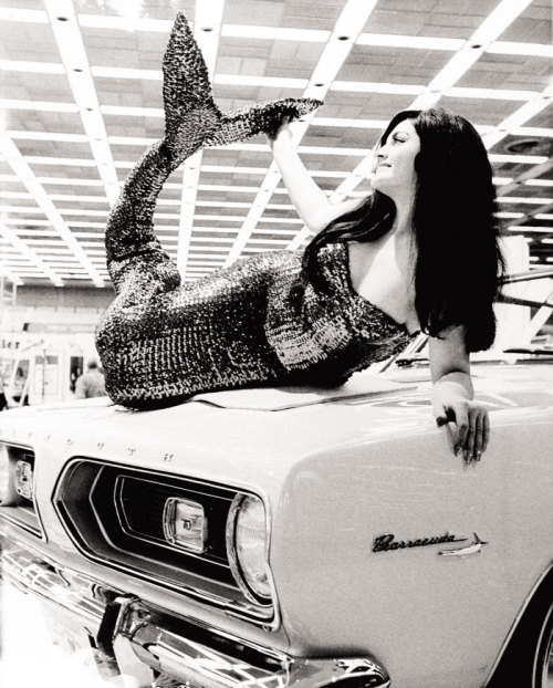 “real life hood ornament” posing atop the 1964 Plymouth Barracuda by Margery Krevsky from 1963 Detroit Auto Show