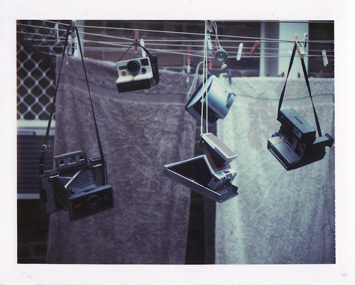 skeletonsinyourcloset: (via thedarlingchild)  "I’ll hang my polaroids out to dry"