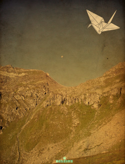 mountain papery fauna |2| by: Davide Bignotti /E C L ▲ I R S, 2009