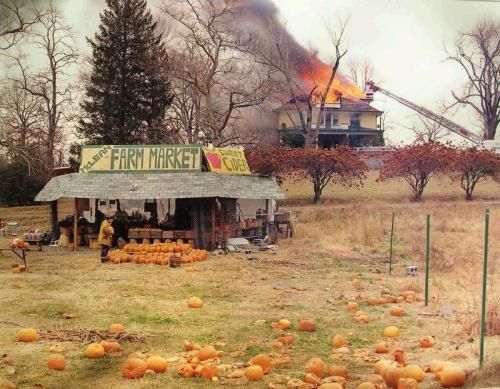 McLean, Virginia, December 1978 photo by Joel Sternfeld