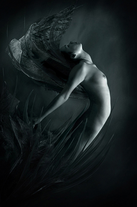 wonderfulparadox:      chandrakanta:  (via stayven-carnivale, whisperinglion)   