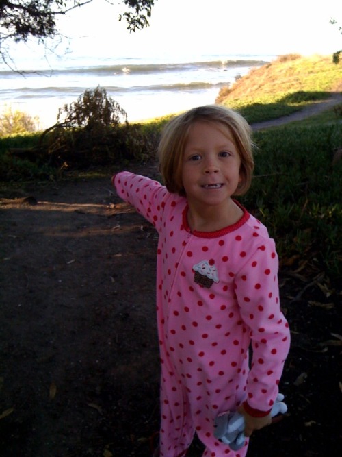 Daisy taking a walk at the beach while mommy surfs.