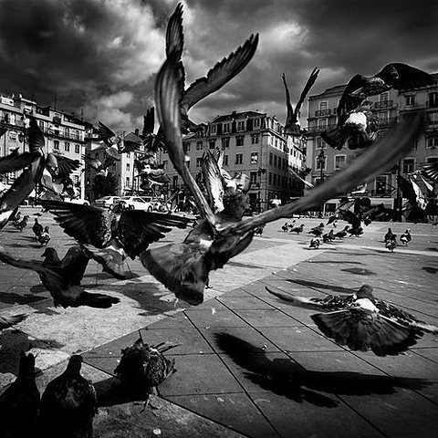 FFFFOUND! | Beautiful Black and White Photography | Inspiration | Smashing Magazine