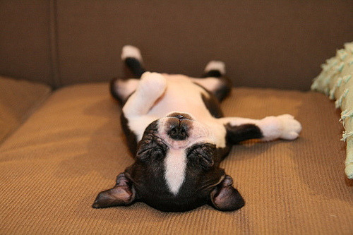 tiresome: flickflickflicker:(via)