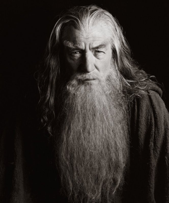 heartlesshippie:  speedyconkiwi:  Sir Ian McKellen in Lord of the Rings (2001-2003)