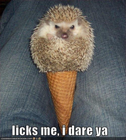 heartlesshippie:  huhitsandra:  icecreamyouscream:  This is not an ice cream cone! (via Kaellis)    :D