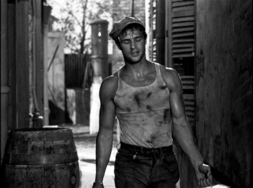 dailycuteboy:  mrgolightly / vintagegal:   Marlon Brando in Streetcar Named Desire 1951    Damn he was good looking!