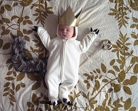merricat:  littlewolf:rockandroses:eleasha:pieceofmymind:leftatwonderland: supermallory:fuckyeahbabies allnightlong:juliasegal:goosebumpsfitsandmalaria: 