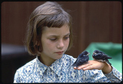 lapoor:  anjalouise:  Bird Lover, 1967 (via