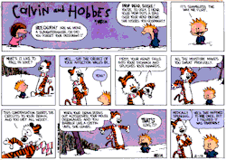 heartlesshippie:  Calvin and Hobbes Oh No!