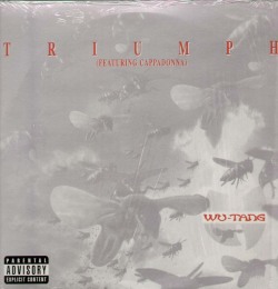 #waxwednesday: Wu Tang Clan-Triumph  12”