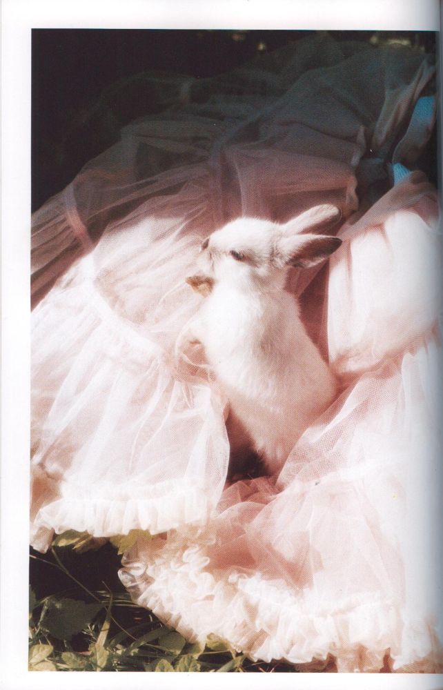 laurencephilomene:  brittanyharrold:  davidurbanke:  lovelybluepony:  dearfrancesca: