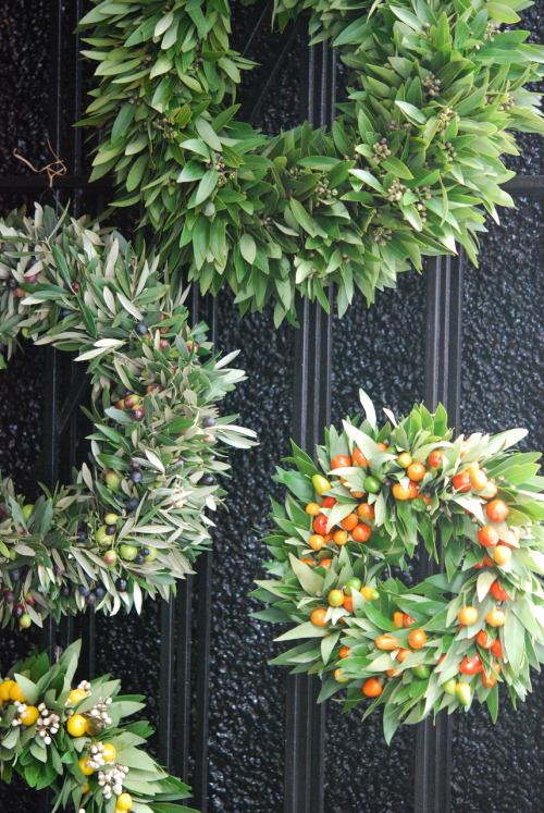 birchsf:fresh wreaths at birchOlive wreaths. 