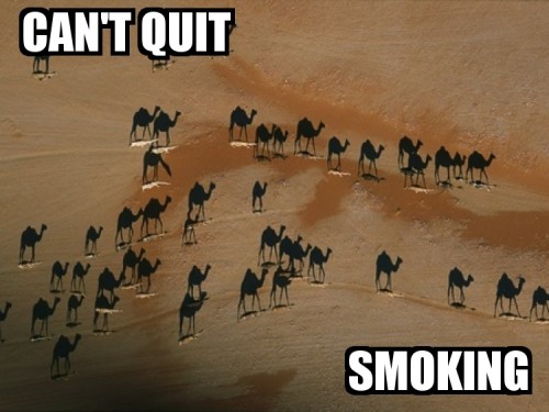 I wanna quit smokin Camel cigarettes.
