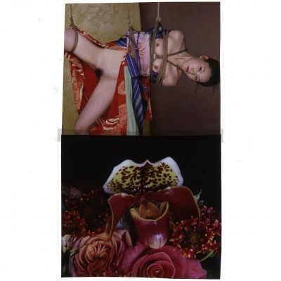 Michael Hoppen Contemporary - Past Exhibitions - Nobuyoshi Araki- Hana Kinbaku - Hana Kinbaku 2008