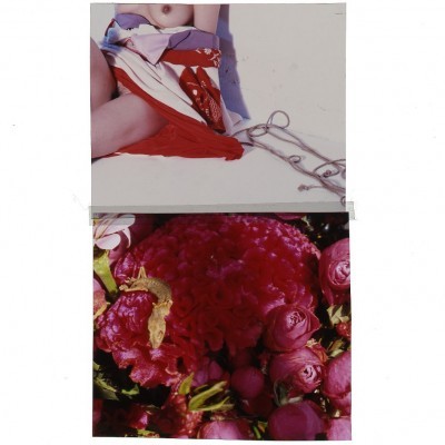 Michael Hoppen Contemporary - Past Exhibitions - Nobuyoshi Araki- Hana Kinbaku - Hana Kinbaku 2008