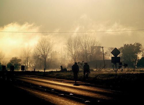 benjaminjtaylor:  July Morning (via Bruce Cooke)