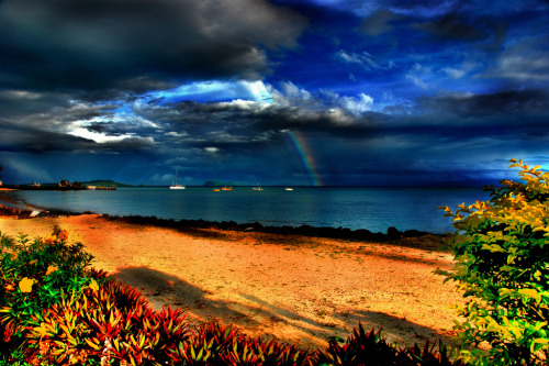 Samoan storm© ming mong