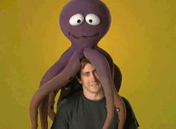 jeffisthename:  acquired-minds:  thefirstsip:  (via completecarnage)   hi im jake gyllenhal and i have an octopus on mah face. o_o… still cute. hahaha  Why is there on octopus on his head? Well Roshi will probably love this since Jake&rsquo;s in it