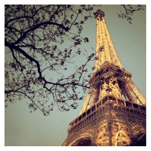 priceless-happiness:  The Blue Hour