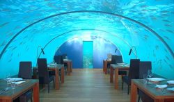 architectureblog:  World’s First Ever Undersea Restaurant – Ithaa | Interior Design, Decorating, Furniture, Architecture, Home &amp; House Design Magazine 