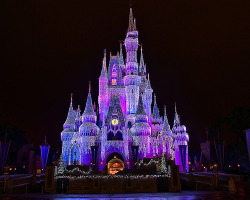 architectureblog:  theworldwelivein:  Disney - Cinderella Castle Dream Lights (Explored) (via Joe Penniston)  