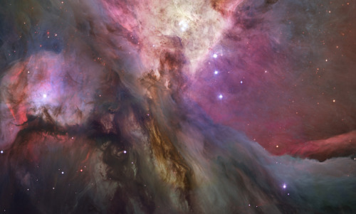 swelterheart:  breathingvioletfog:  sore-thumbelina:  Orion Nebula   