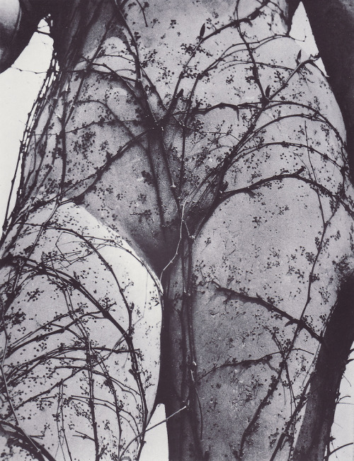Osidla photo by Vilém Reichmann, 1941via: calypsospots
