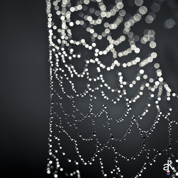 black-and-white:  chopa:  dark necklace | by alsebka  