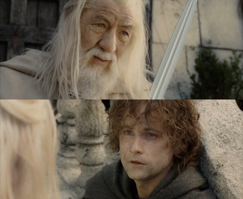 heartlesshippie:  bohemea:  suicideblonde:  PIPPIN: I didn’t think it would end this way.  GANDALF: End? No, the journey doesn’t end here. Death is just another path, one that we all must take. The grey rain curtain of this world rolls back and all