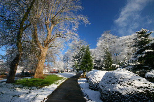 Spring is on hold, Birmingham, England.(via Heaven`s Gate (John))