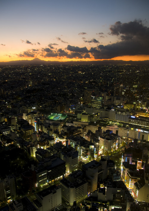 killerbeach:  petapeta:  takaakik:  marugoshi:  ak47:  bonguri:  j-p-g:  Ikebukuro at night 2 (via T