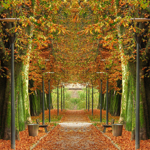 Mirrored path (via Mike G. K.)