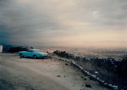 Blue Mustang photo by Adam Bartos for Los