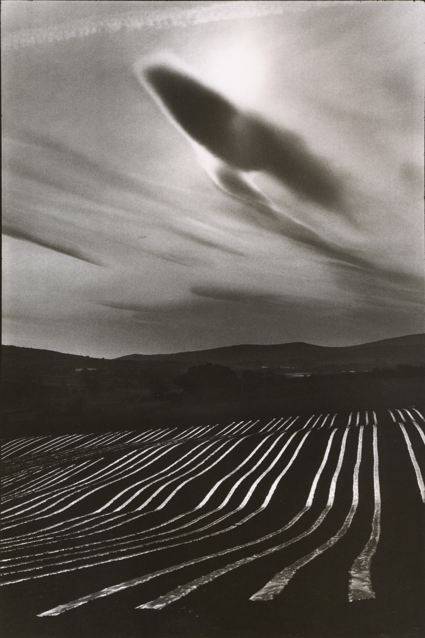 Le Luberon, Alpes-de-Haute-Provence, France 1976 photo by Martine Franck, One Day