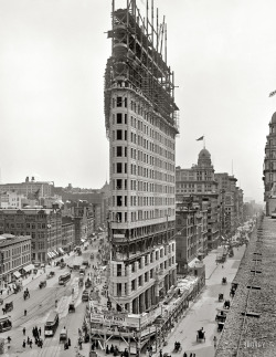 Flatiron Building, New York 1902, via shorpy