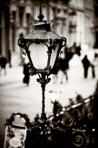 laudanumandarsenic:  decembered: naturesfreak:fairytalemadness  (via black-and-white)