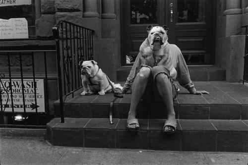 New York City photo by Elliott Erwitt, 2000