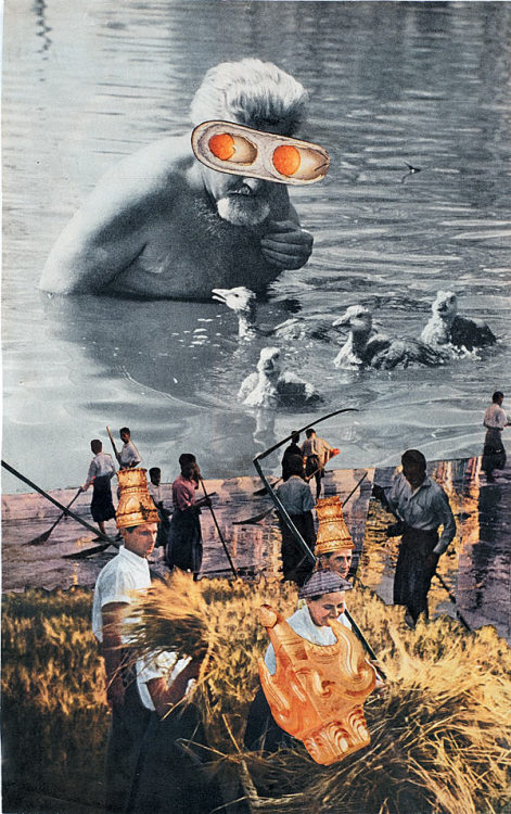 untitled (Konrad Lorenz) collage by Jess, adult photos