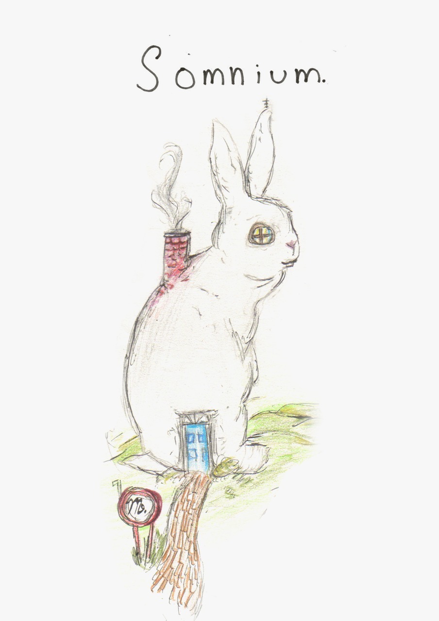 breathingvioletfog:  bluebellscockleshells:  fromsecondstory:  Hi. I wanted to let