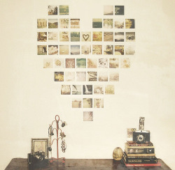 varietyofcameras:  robot-heart:  Polaroid